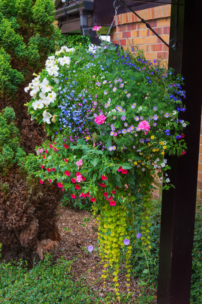 Hanging basket full of colorful summer plants. - Photo, Image