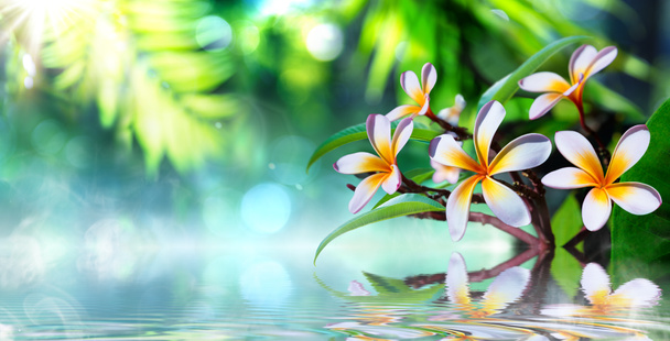 Zen garden with frangipani and vapour on water - Photo, Image