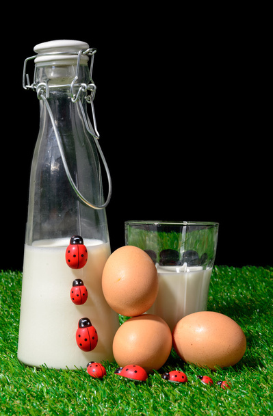 melk en ei - Foto, afbeelding