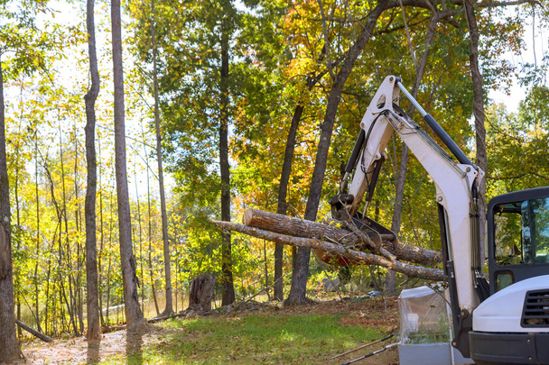 Будівництво житлового комплексу: дерева очищені трактором з похилим кермом в ландшафтних роботах - Фото, зображення