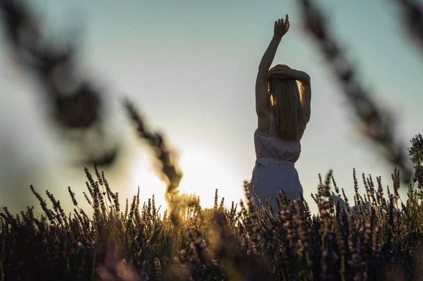 встречный портрет молодой девушки в белом летнем платье на лавандовом поле, смотрит сзади, поднимает руки на вершину солнца. Цветущая лаванда летом. Закат. Селективный фокус - Фото, изображение