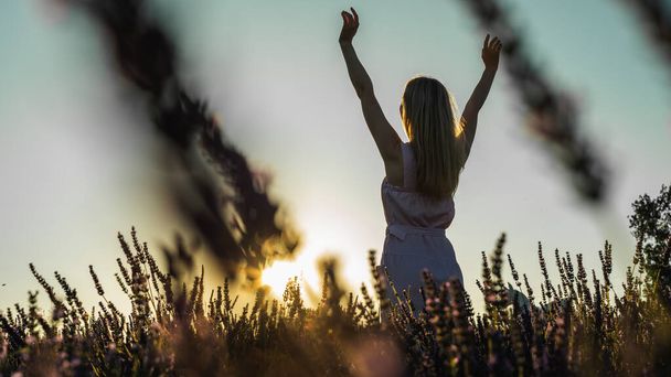 counter portrait of a young girl in a white summer dress on a lavender field, looks from behind, raised her hands to the top of the sun. Blooming lavender in summer. Sunset. Selective focus - Photo, Image