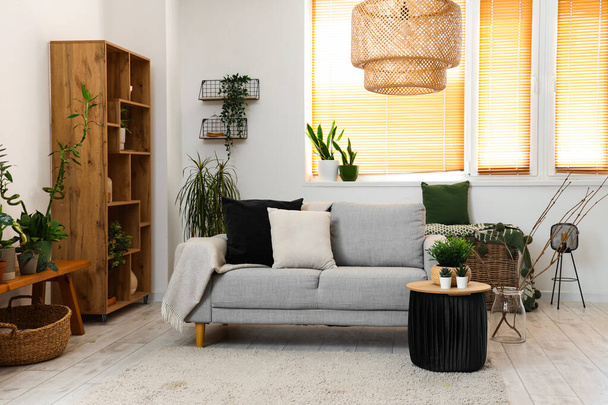Interiér světlého obývacího pokoje s pohovkou a pokojovými rostlinami - Fotografie, Obrázek