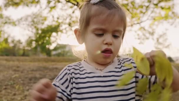 Mooi klein meisje spelend in gevallen kleurrijke herfstbladeren in een park. Gelukkige jeugd. Een klein meisje dat in de herfst loopt. Lifestyle, mensen en herfstconcept. - Video