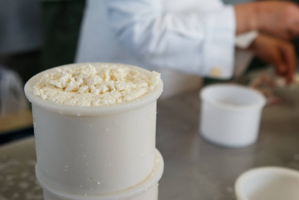 Producción de queso artesanal, cuajo y envasado en moldes para dar forma - Foto, imagen