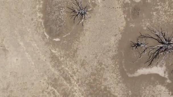 Шаблоны в соляных работах на Карибах, вид с воздуха - Кадры, видео