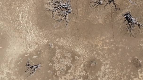 Muster in Salinen in der Karibik, Luftaufnahme - Filmmaterial, Video