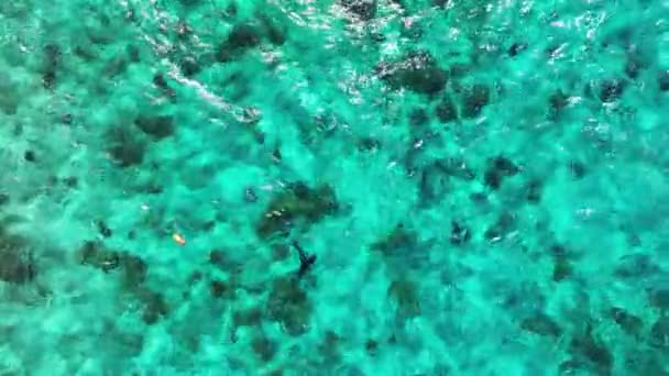 Turkusowa woda Morza Karaibskiego, widok z lotu ptaka  - Materiał filmowy, wideo