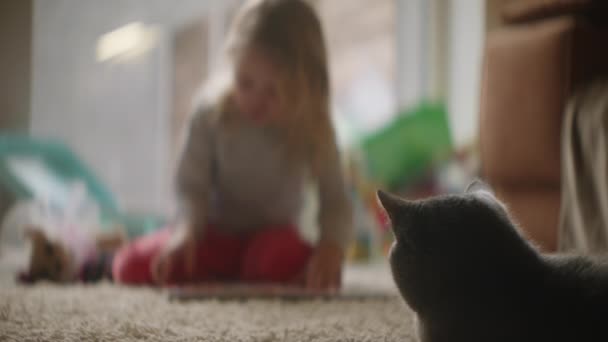 Vista de la niña jugando ocupado en el fondo, gato mascota de la familia se encuentra despreocupado en la alfombra, la mira a distancia, durante el día, el fin de semana. - Metraje, vídeo