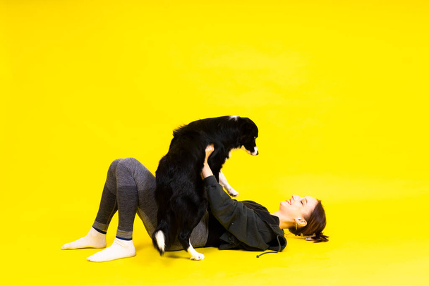 Mulher com bonito cão fronteira collie está em um estúdio. Desporto com animal de estimação - Foto, Imagem