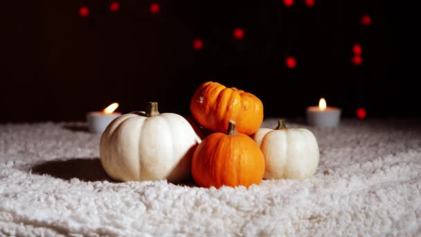 Calabazas de otoño con velas en fondo cálido medio 4k tiro enfoque selectivo - Imágenes, Vídeo
