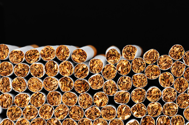 Tabakindustrie - Foto, Bild