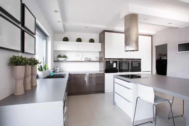 Houseplants in exclusive kitchen - Foto, Imagem
