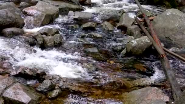 Waterfall in a mountain river. Nature, river, waterfall, forest, winter day. Famous ski resort in Poland, Karpacz.  - Footage, Video