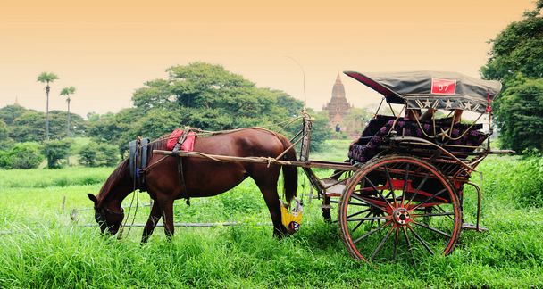Τους ναούς και το άλογο μεταφορά στα Bagan - Φωτογραφία, εικόνα