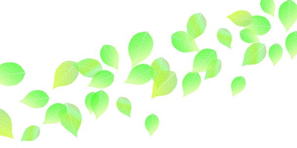 Tuoreet vihreät lehdet Maisema tausta
 - Vektori, kuva