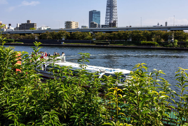 Tokió, Japán, 2023. október 28.: Sétahajózás a Sumida folyón Tokióval a háttérben - Fotó, kép