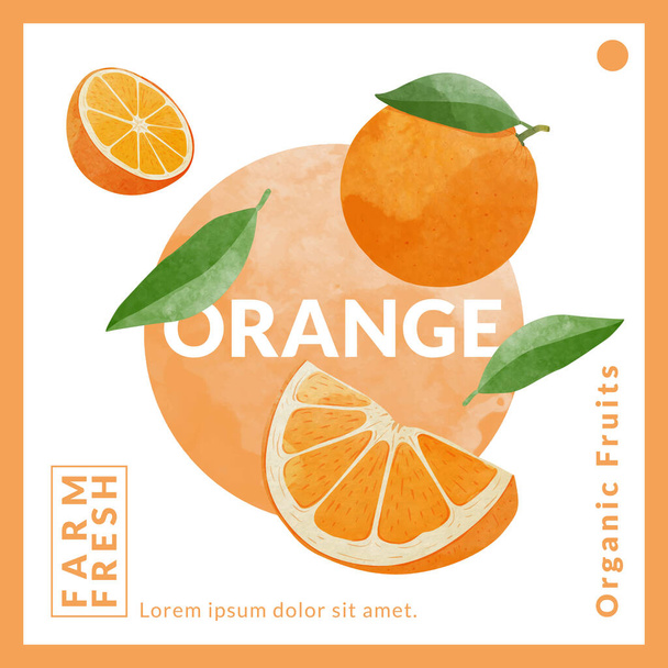 Orange packaging design templates, watercolour style vector illustration. - ベクター画像