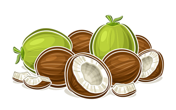 Vector logo voor Kokosnoot, decoratieve horizontale poster met omtrek illustratie van hele en gebarsten kokosnoot compositie, cartoon design fruitige print met gehakte kokosnoot delen op witte achtergrond - Vector, afbeelding