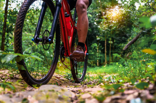 Close-up de bicicleta de montanha extrema, passeio de ciclista em trilhas MTB na Floresta Verde com Mountain Bike, atividades esportivas ao ar livre divertidas e desfrutar de equitação. Técnicas básicas do atleta. - Foto, Imagem