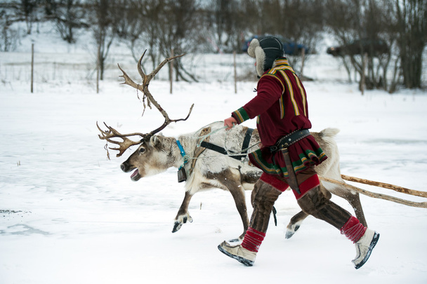 Éleveur de rennes habillé en national Même vêtements avec une renne
 - Photo, image