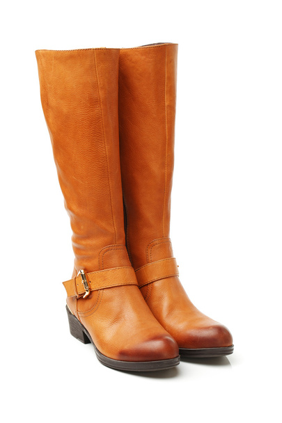 Ginger red boots - Foto, Imagem