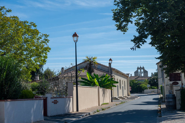 Város Lalande de Pomerol közelében Saint-Emilion bortermelő régió, növekvő Merlot vagy Cabernet Sauvignon vörösbor szőlő, Franciaország, Bordeaux nyáron - Fotó, kép