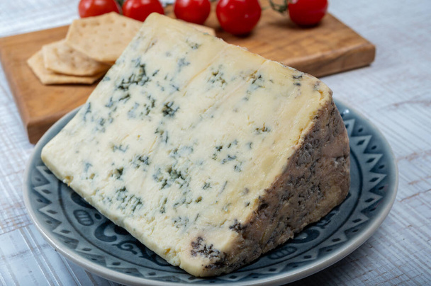 Cheese collection, English cow milk semi-soft, crumbly old stilton blue cheese close up - Photo, Image