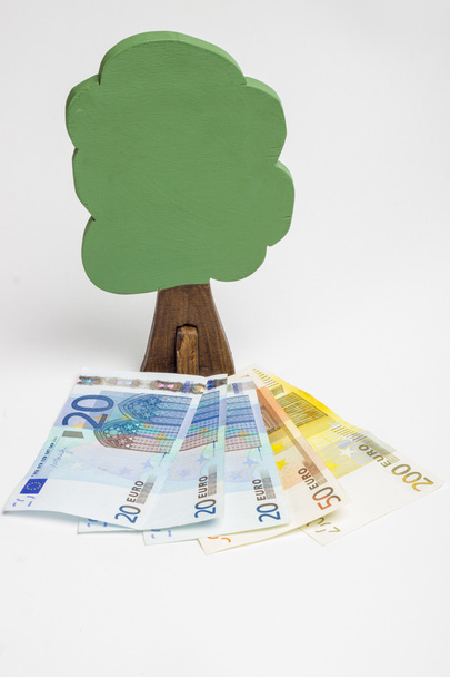 Huis van houten blokken, houten figuren van bomen, euro geld, mod - Foto, afbeelding