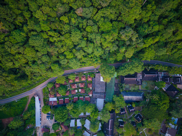 Antenni vihreä trooppinen metsä meren saarella hiilen kierrätys ekologia järjestelmä luonto maisema abckground - Valokuva, kuva