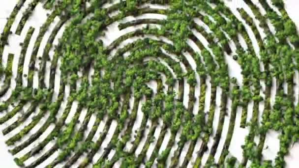 #BeatPlastikKirlilik, Dünya Çevre Günü konsepti 2023 ağaç arka planı. parmak izi simgesi. Yeşil ormanlı pankart kesimi..  - Video, Çekim