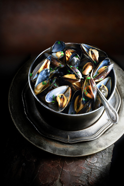 Aerial Mussels II - Фото, изображение