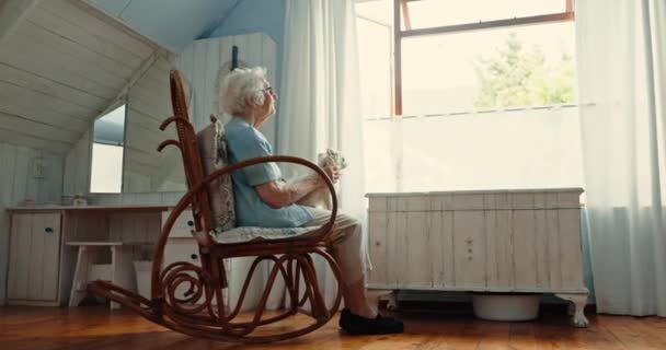 Senior woman, window and dog in home with vision, memory or thinking for care, love or rocking chair. Elderly person, pet or animal in house, retirement or peace for calm for idea, remember or choice. - Footage, Video