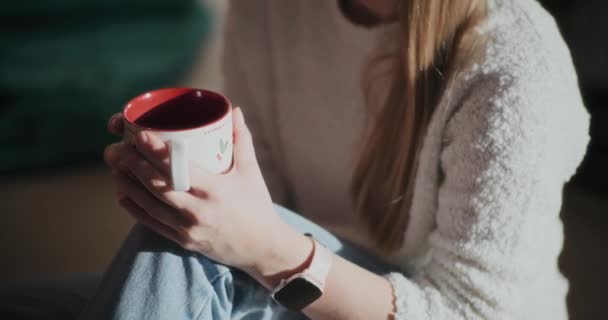 Midsection de ângulo alto da mulher gesticulando enquanto segurando xícara de café em casa brilhante durante o Natal - Filmagem, Vídeo