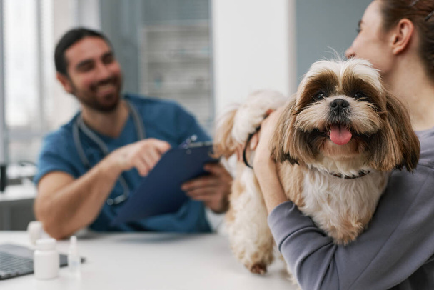 Cute yorkshire terrier held by young female owner standing on table in front of camera against veterinarian in uniform making prescription - Photo, Image