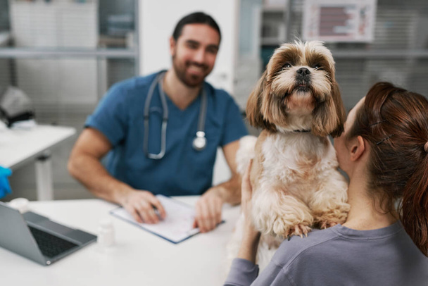 医療室で相談中に獣医師とコミュニケーションをとる彼のオーナーが立っている現代獣医診療所のふわふわした患者 - 写真・画像