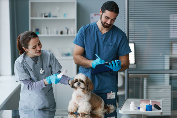 Joven veterinario masculino en uniforme azul haciendo notas médicas en el documento mientras que su asistente examinando yorkshire terrier - Foto, Imagen