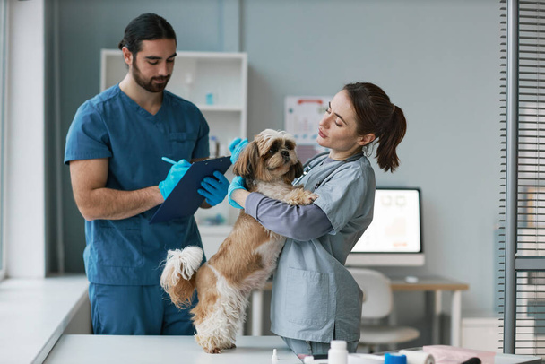 Νεαρή γυναίκα κτηνίατρος σε ομοιόμορφη αγκαλιά yorkshire terrier στέκεται στο ιατρικό τραπέζι κατά τη διάρκεια check up, ενώ ο συνάδελφός της κρατώντας σημειώσεις - Φωτογραφία, εικόνα