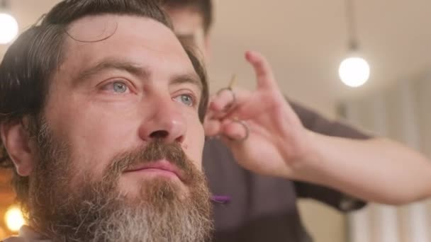 Крупним планом знімок бородатого чоловіка клієнт сидить в перукарні, поки перукар ріже волосся - Кадри, відео