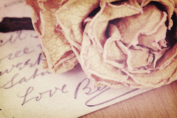 Close up de rosa seca e palavra de amor escrito no cartão. Luz suave v
 - Foto, Imagem