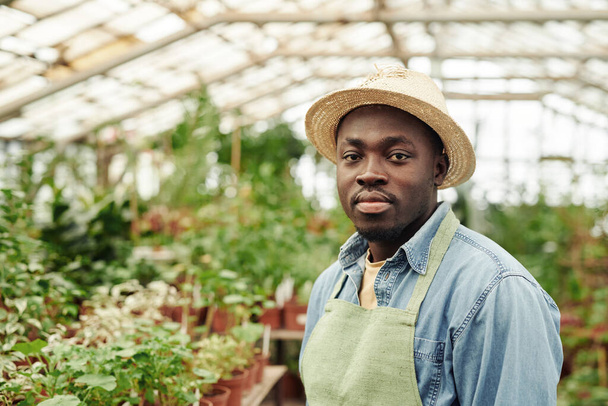 Medium close-up of young African American man wearing hat and apron standing in greenhouse store looking at camera - Foto, Imagem