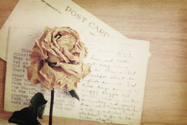 Rose sèche et vieille carte postale avec manuscrit. Lumière douce vintage s
 - Photo, image