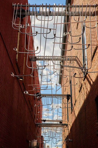 Widok na gołębie w dzień Usytuowane na geometrycznych ucieczkach przeciwpożarowych między murowanymi budynkami w centrum Muncie, Indiana - uderzający widok miejskiej przyrody i architektury - Zdjęcie, obraz