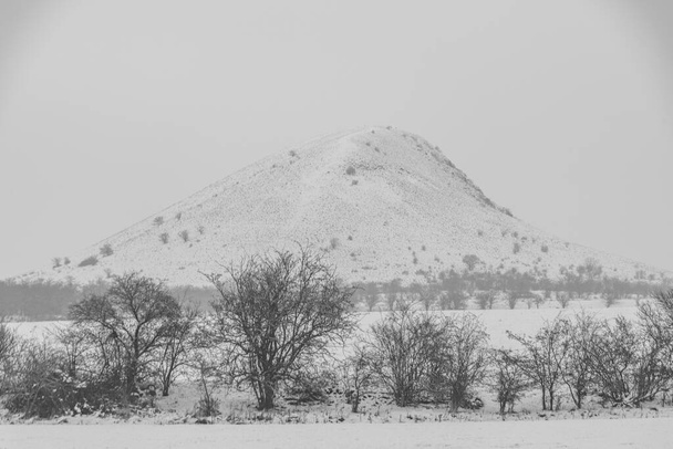 Rana Hügel in weißem Sturm schneebedeckter Morgen in der Nähe von Louny Stadt und kalten Wiesen - Foto, Bild