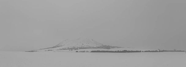Rana λόφο σε λευκό καταιγίδα χιονισμένο πρωί κοντά στην πόλη Louny και κρύα λιβάδια - Φωτογραφία, εικόνα