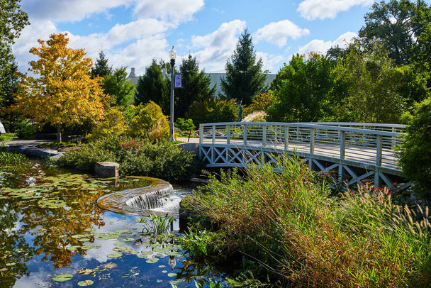Podzimní klid v botanické zahradě Elkhart, Indiana - Serene Park View with Footbridge over Pond and Vibrant Seasonal Foliage - Fotografie, Obrázek