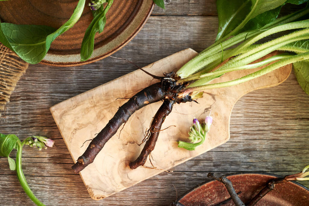 Bovenaanzicht van verse knitbone plant en wortel op een tafel - Foto, afbeelding