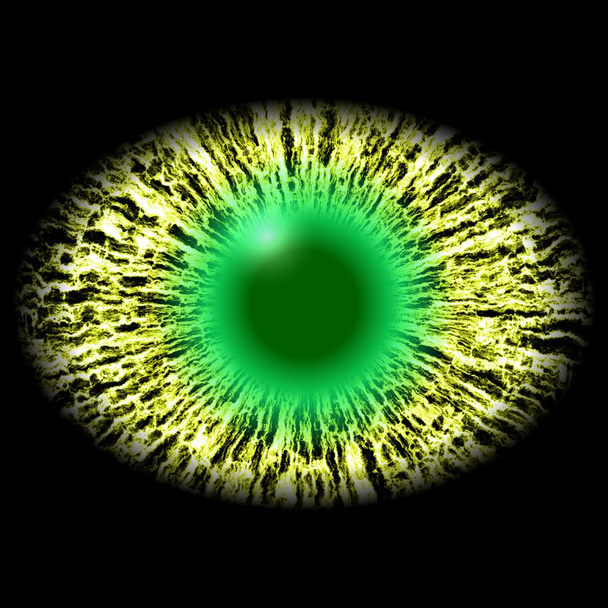 Ojo aislado. Ojo de monstruo con iris rayado y pupila elíptica oscura con retina verde
. - Foto, Imagen