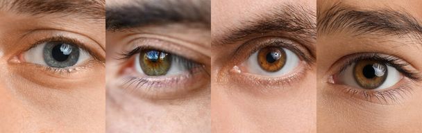 Collage of male eyes, closeup - Photo, Image