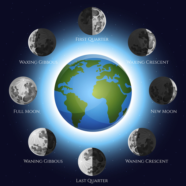 Moon Phases Illustration - Vector, imagen
